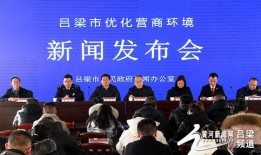 营商环境新闻爆料,揭秘企业发展的新机遇与挑战
