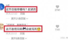 网红爆料好声音视频播放,好声音幕后精彩瞬间，视频播放引发热议