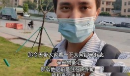 爆料网红辛巴视频大全集,揭秘网红辛巴的精彩瞬间与成长历程
