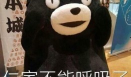 家有小小最新爆料,最新爆料带你走进童趣世界