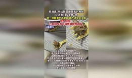 老坛酸菜爆料新闻,揭秘食品行业潜规则与消费者权益受损