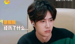 娱乐吃瓜华晨宇是谁,娱乐吃瓜界的风云人物