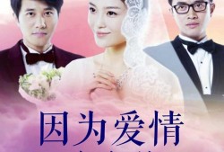 因为爱情有多美在线观看,浪漫邂逅，谱写甜蜜恋曲