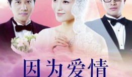 因为爱情有多美在线观看,浪漫邂逅，谱写甜蜜恋曲