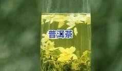茉莉绿茶爆料视频大全,揭秘幕后故事与精彩瞬间