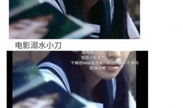 娱乐圈吃瓜解析博主,揭秘明星背后的故事与真相