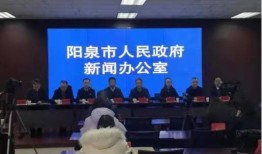 营商环境新闻爆料,揭秘企业发展的新机遇与挑战