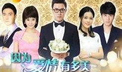 因为爱情有多美在线观看,浪漫邂逅，谱写甜蜜恋曲