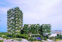 海口碧桂园爆料案件最新,揭秘背后真相与争议