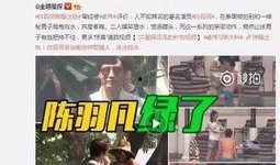 永康爆料羊夫人出轨事件视频,一场婚外情的真相大揭秘