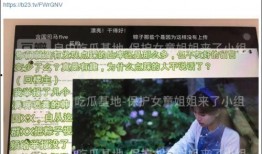 辩论爆料林瑶瑶视频,揭秘背后真相与争议