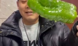 网红吃瓜胖子视频,揭秘娱乐圈幕后真相