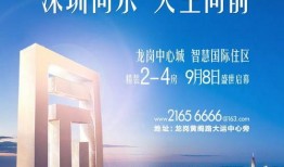 地产爆料视频大全最新,揭秘行业内幕，深度解析房地产市场动态