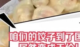 爆料天价水饺视频大全图片,视频大全背后的惊人真相