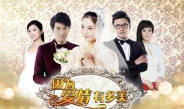因为爱情有多美在线观看,浪漫邂逅，谱写甜蜜恋曲