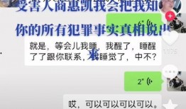 陈继志代理律师爆料视频,揭秘事件背后惊人真相