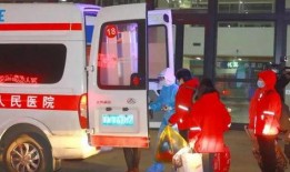 石家庄市新闻爆料,突发事件引发关注，详情即将揭晓